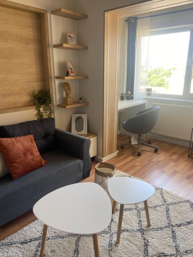 Iulius Loft Apartment Iasi Bagian luar foto